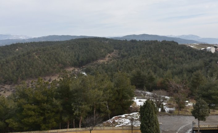 Emekli orman işletme şefi 25 yılda 30 milyon fidanı toprakla buluşturdu