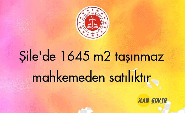 Şile'de 1645 m² taşınmaz mahkemeden satılıktır