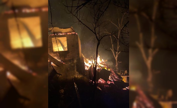 Artvin'de çıkan yangında bir ev zarar gördü