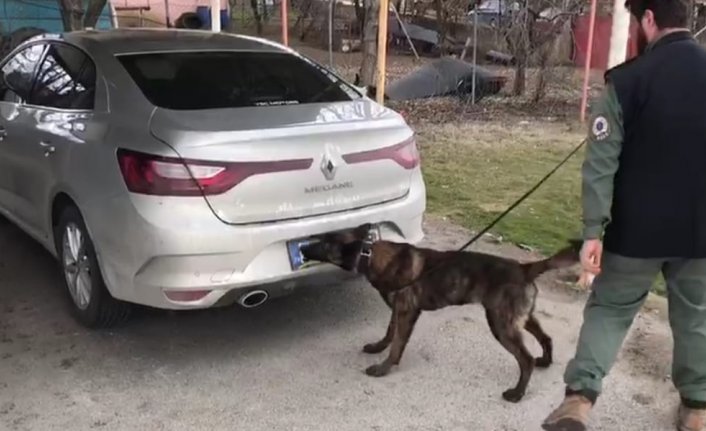 Bolu'da 4 kilo 700 gram esrarla yakalanan şüpheli tutuklandı