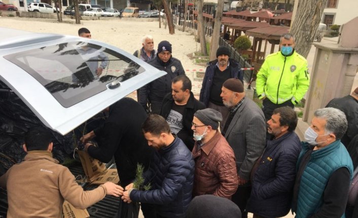 Boyabat'ta Orman Haftası etkinlikleri