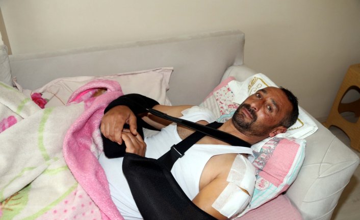 Domuz saldırısı sonucu yaralanan kişi tedavisinin ardından taburcu edildi