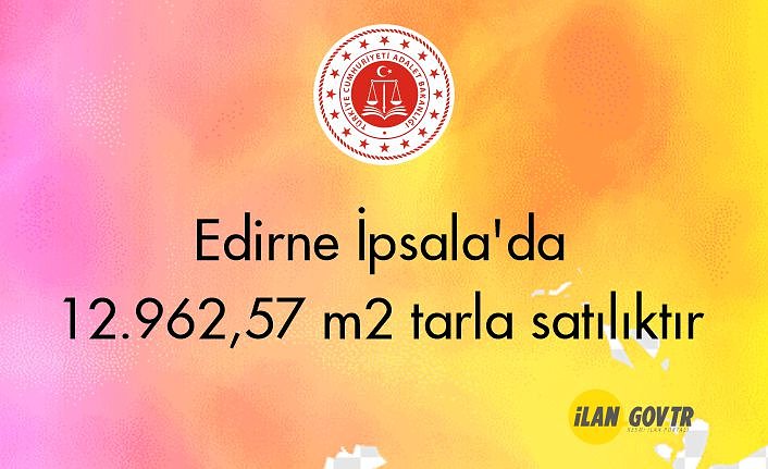 Edirne İpsala'da 12.962,57 m² tarla mahkemeden satılıktır
