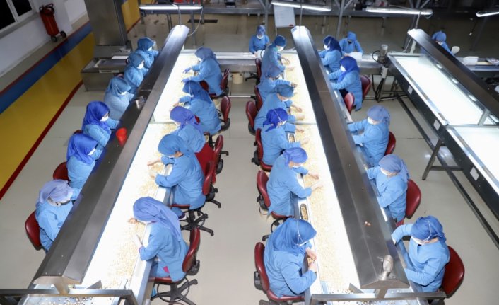 Fındık ihracatında hedef 340 bin ton