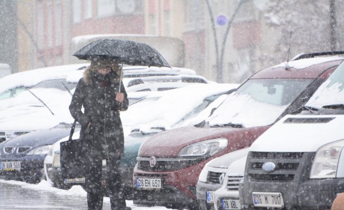 Giresun'da kar yağışı etkili oluyor