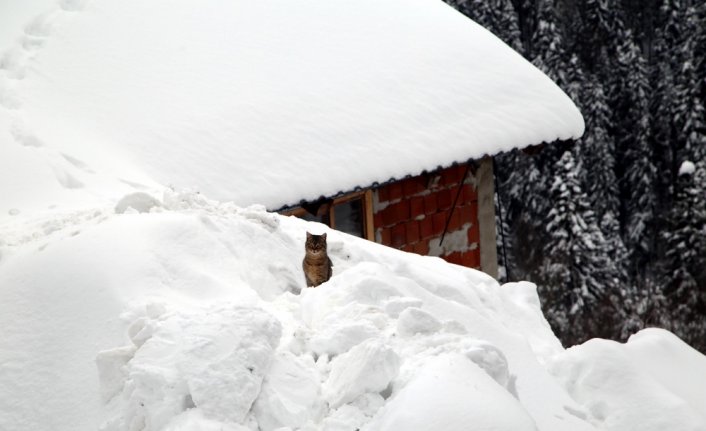 Kastamonu'da bazı köylerde kar kalınlığı 2 metreyi aştı