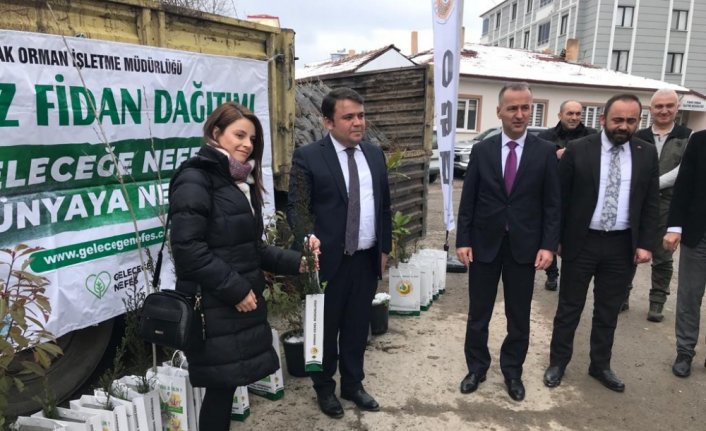 Kavak'ta vatandaşlara 14 bin 250 fidan dağıtıldı