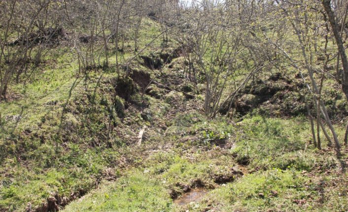 Ordu'da heyelan nedeniyle bahçe ve yollar zarar gördü
