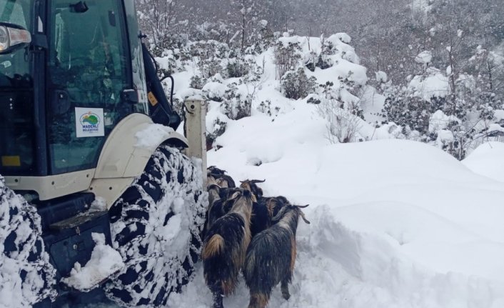 Rize'de karda mahsur kalan 