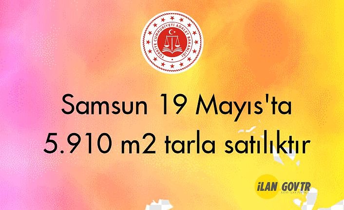 Samsun 19 Mayıs'ta 5.910 m2 tarla mahkemeden satılıktır