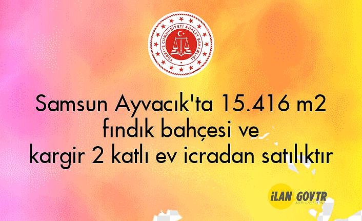 Samsun Ayvacık'ta 15.416 m² fındık bahçesi ve kargir 2 katlı ev icradan satılıktır