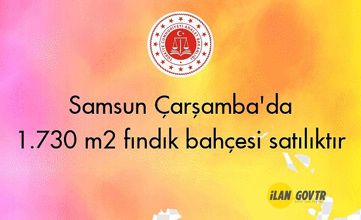 Samsun Çarşamba'da 1.730 m² fındık bahçesi icradan satılıktır