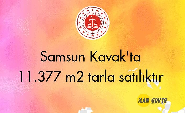 Samsun Kavak'ta 11.377 m2 tarla icradan satılıktır