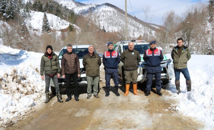 Sinop'ta yaban hayvanları için doğaya yem bırakıldı