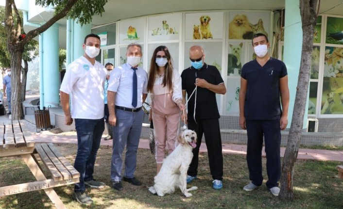 Yaralı bulup tedavi ettirdiği köpek 