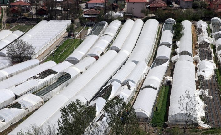 Amasya'da fırtına seralara zarar verdi
