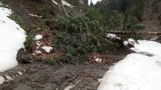 Heyelan nedeniyle kapanan Samandere Şelalesi-Abant bağlantı yolu ulaşıma açıldı