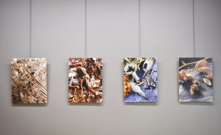 İklim krizine dikkati tohum fotoğraflarıyla çekiyor