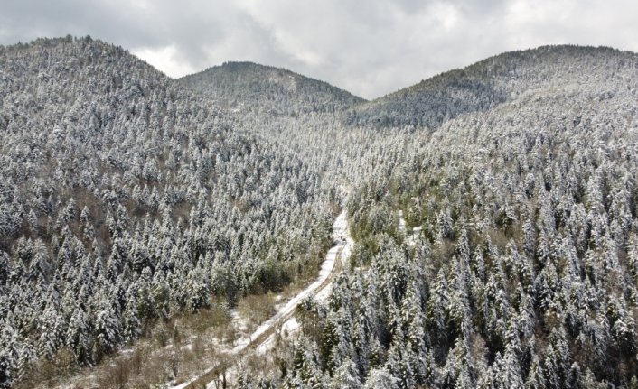 Karabük'te nisanda yağan kar, ormanlık alanı beyaza bürüdü