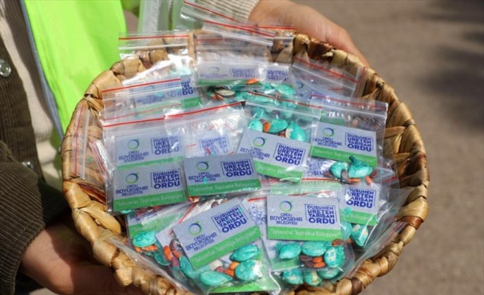 Ordu'da 10 bin ilkokul öğrencisine meyve ve sebze tohumu dağıtımına başlandı