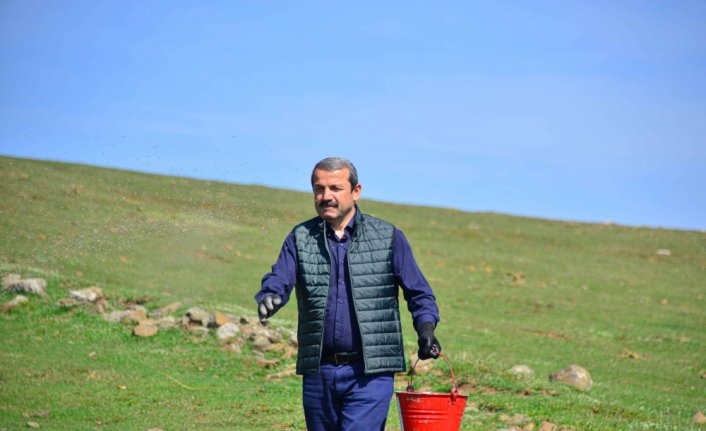 Ordu'da meralardaki ot verimi ve kalitesi için gübre atıldı