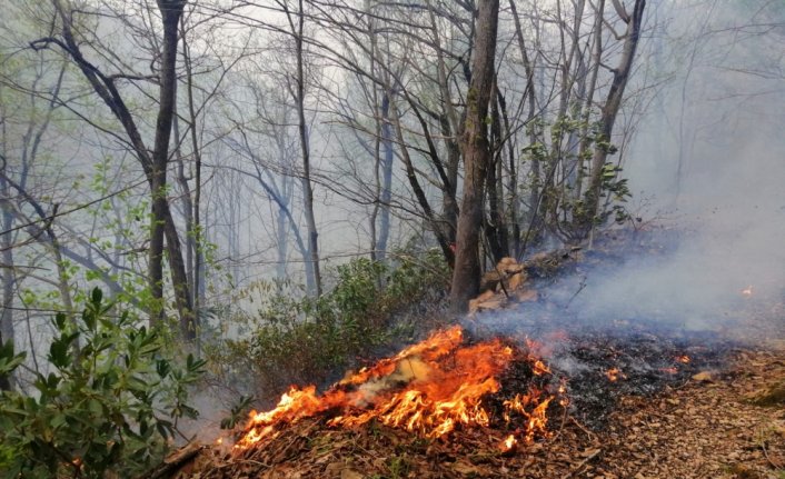 Ordu'da örtü yangını söndürüldü