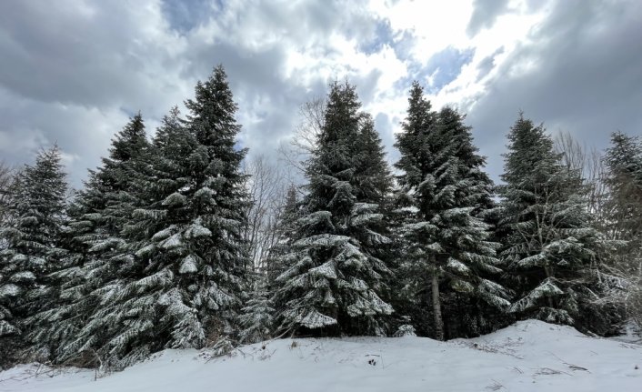 Sakarya ve Bartın'ın yüksek kesimleri nisanda yağan karla beyaza büründü