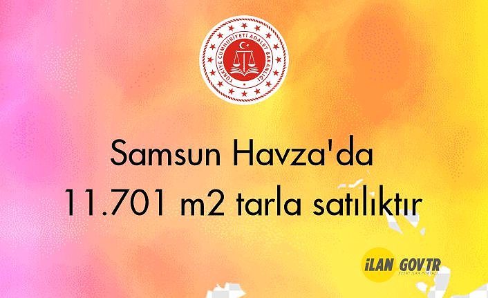 Samsun Havza'da 11.701 m² tarla mahkemeden satılıktır