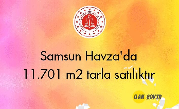 Samsun Havza'da 11.701 m² tarla mahkemeden satılıktır