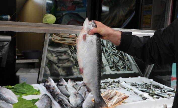 Türk somonu İspanya'daki fuarda tanıtılacak