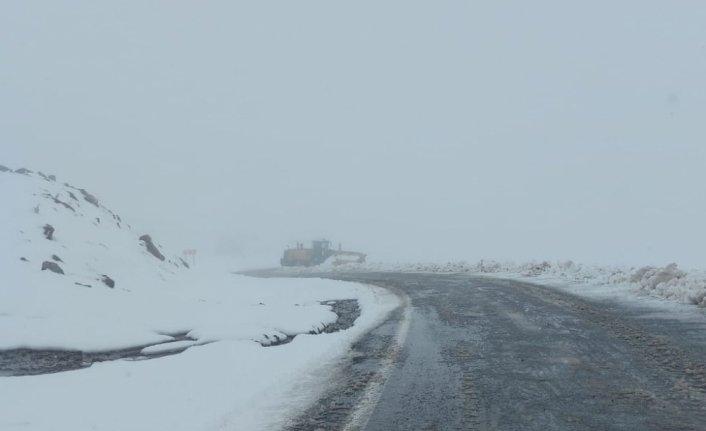 Artvin'in yüksek kesimlerinde kar etkili oldu