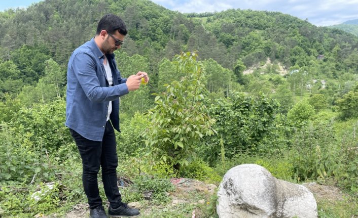 Bartın'da yol çalışması sırasında tarihi eser kalıntısı bulundu