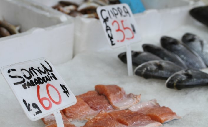 Batı Karadenizli balıkçılar kıyı avcılığından umutlu