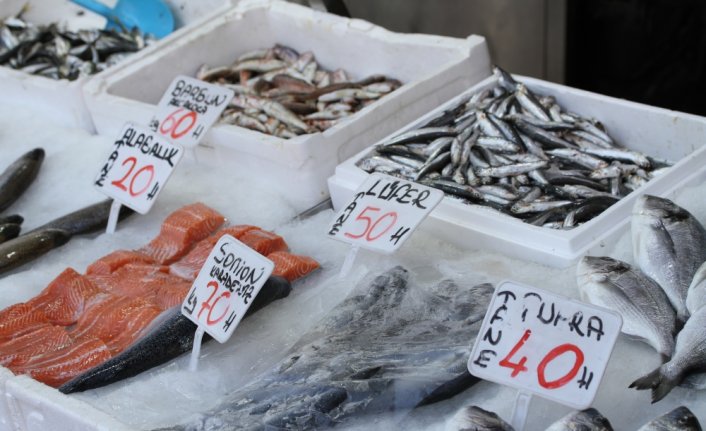 Düzce'de tezgahlar kıyı avcılığıyla boş kalmıyor