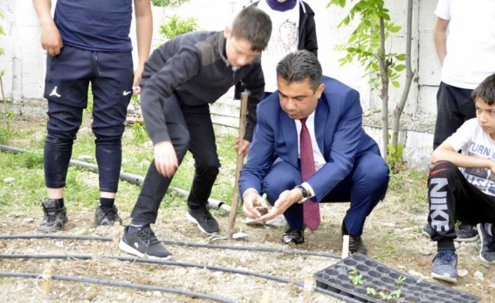 Safranbolu'da öğrenciler ata tohumlarını hobi bahçesinde toprakla buluşturdu