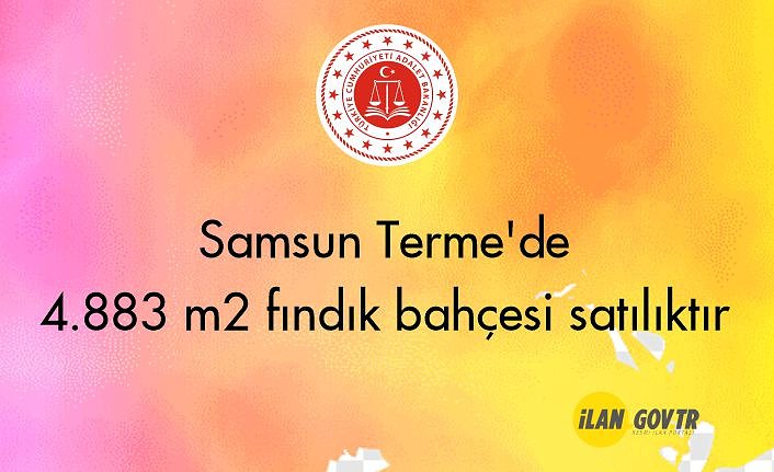 Samsun Terme'de 4.883 m² fındık bahçesi icradan satılıktır
