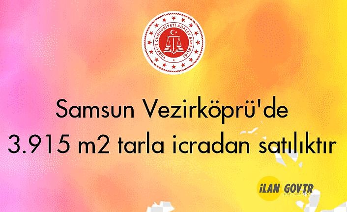 Samsun Vezirköprü'de 3.915 m² tarla icradan satılıktır