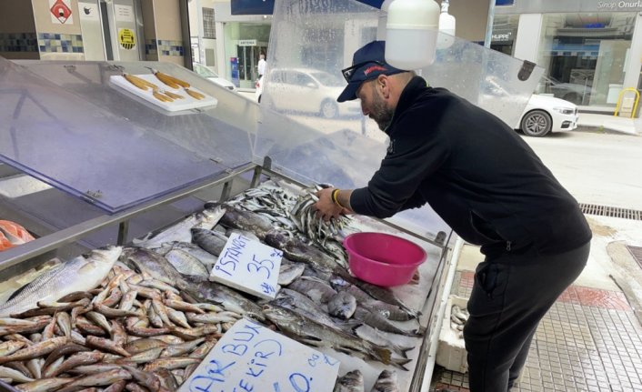 Sinop'ta avlanan iskorpit, kilogramı 150 liradan alıcı buluyor