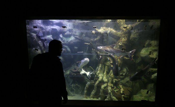 Tarihi vadilerin arasındaki 