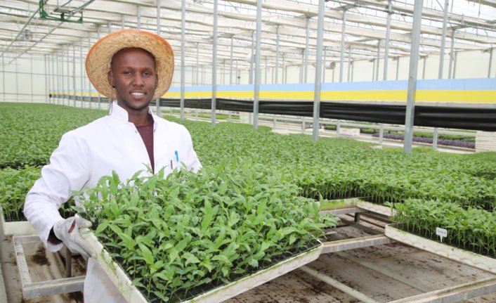 TOGÜ'de üretilen fidelerin satışı başladı