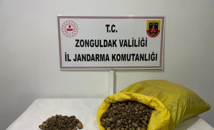 Zonguldak'ta salep soğanı toplayan 2 kişiye 218 bin lira ceza