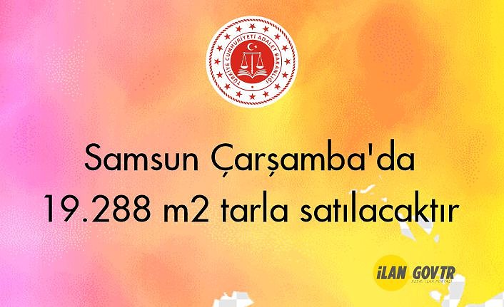 Samsun Çarşamba'da 19.288 m² tarla mahkemeden satılacaktır