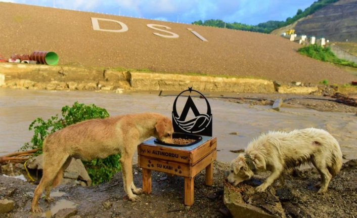 Altınordu Belediyesi, sel felaketinin yaşandığı Bartın'a yardım gönderdi