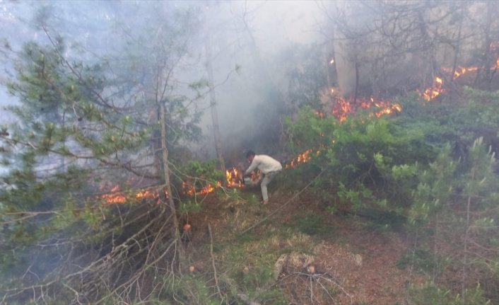 Bolu'daki orman yangınında bir hektarlık alan zarar gördü