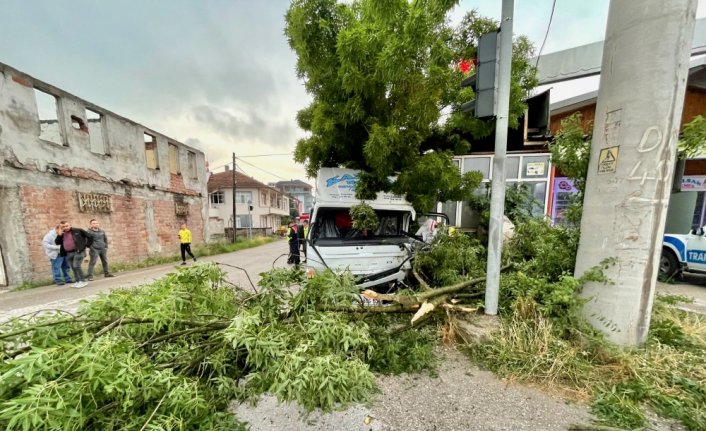 Düzce'de ağaca çarpan kamyonetteki 2 kişi yaralandı