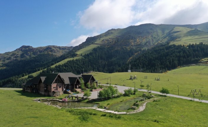 Giresun'un doğa harikası yaylalarında turizm hareketliliği başladı