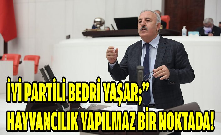 İYİ Partili Bedri Yaşar;” Hayvancılık yapılmaz bir noktada!