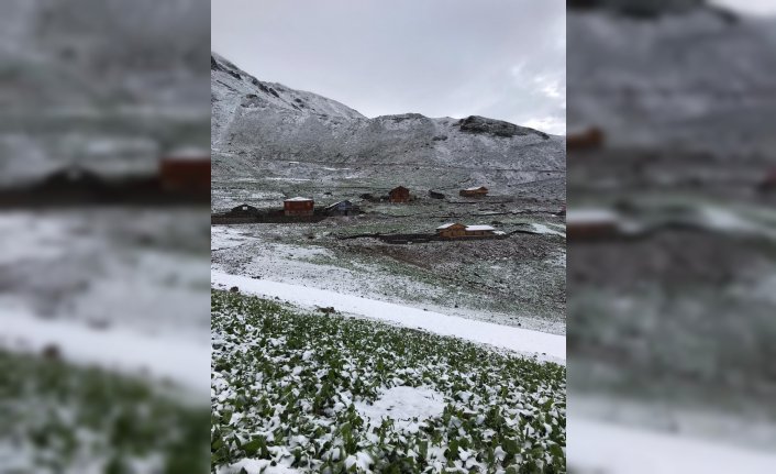 Rize'de 3 bin 200 rakımlı yaylaya kar yağdı