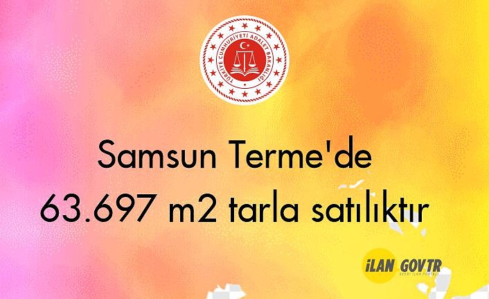 Samsun Terme'de 63.697 m² tarla mahkemeden satılıktır