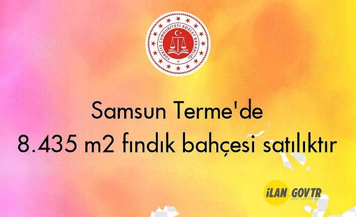 Samsun Terme'de 8.435 m² fındık bahçesi icradan satılıktır